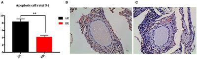 Characterization of the Intestinal Microbiota of Broiler Breeders With Different Egg Laying Rate